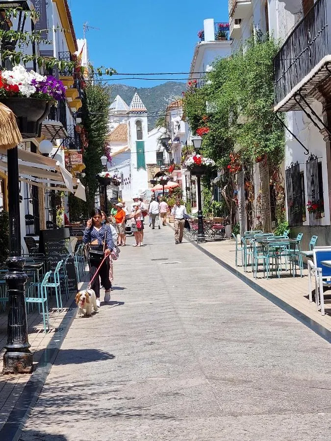 Apartmán Town House With Roof Terrace - Old Town Marbella